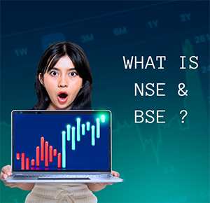What is NSE & BSE?