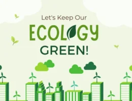 Sustainable City Initiatives: Eco-Friendly Practices